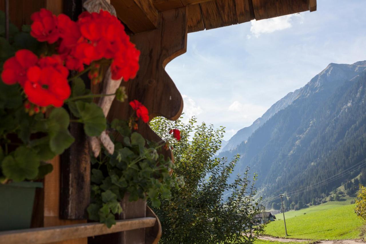 Alpenspitz Appartements - Garni - B&B Racines Exterior foto